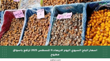 أسعار البلح السيوي اليوم الأربعاء 6 أغسطس 2025 ترتفع بأسواق مطروح